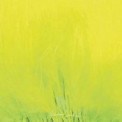 Marabout plumes quill fluo jaune 502