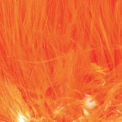 Marabout plumes quill fluo orange 503