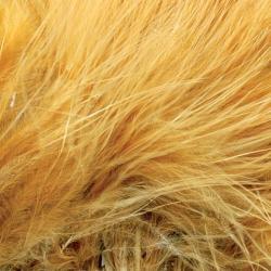 Marabout plumes quill ginger 42