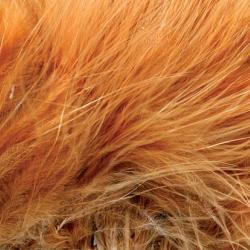 Marabout plumes quill golden brown 50