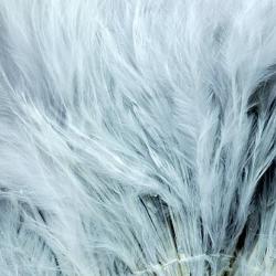 Marabout plumes quill gris p&acirc;le 125