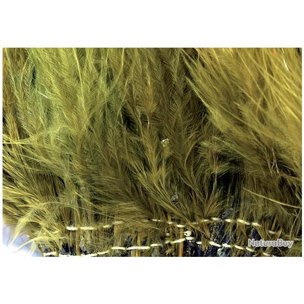 Marabout plumes quill light olive 60