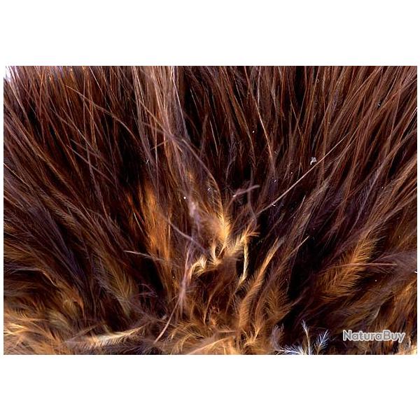Marabout plumes quill marron 47