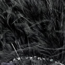 Marabout plumes quill noir 100