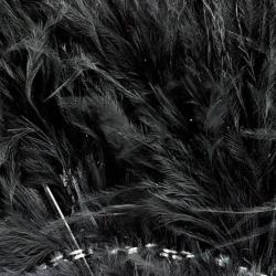 Marabout plumes quill noir 100