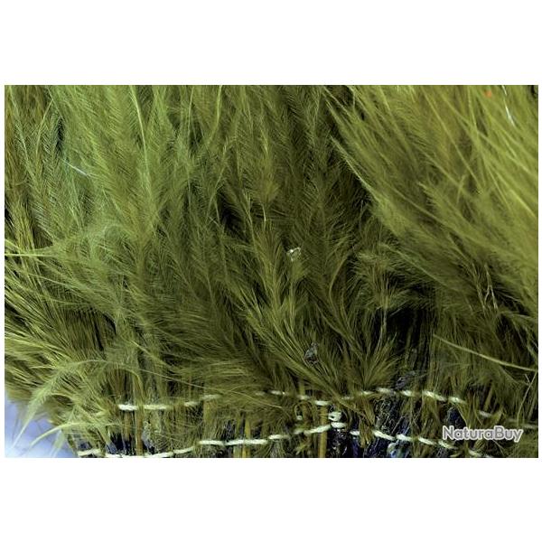 Marabout plumes quill olive 89