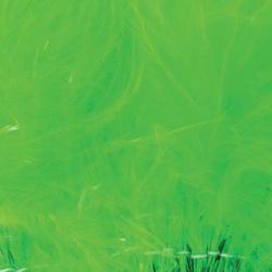 Marabout plumes quill vert insecte 67