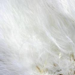 Marabout enfil&eacute; blanc 01