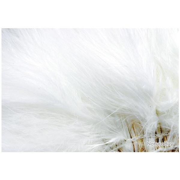 Marabout enfil� fluo blanc 506