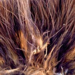 Marabout enfil&eacute; marron 47