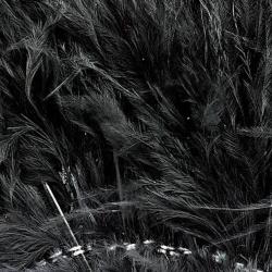 Marabout enfil&eacute; noir 100