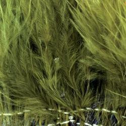 Marabout enfil&eacute; olive 89