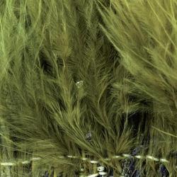Marabout enfil&eacute; olive 89