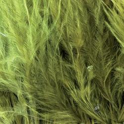 Mini Marabout olive 89