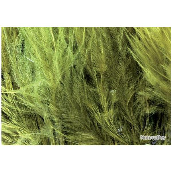 Mini Marabout olive 89