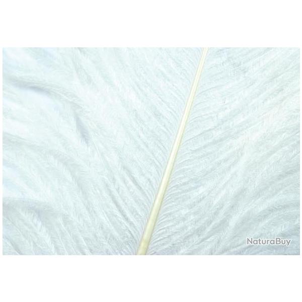 Autruche herls sur tige blanc 10
