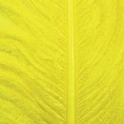 Autruche herls sur tige jaune 7