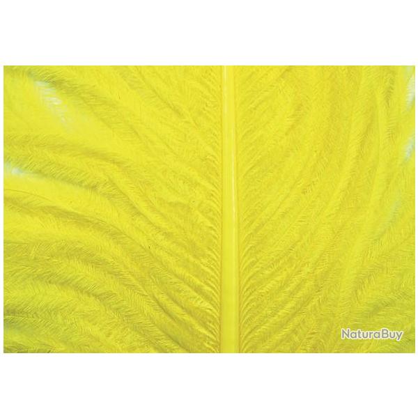 Autruche herls sur tige jaune 7