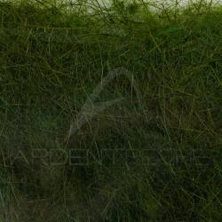 Dubbing li&egrave;vre sauvage olive fonc&eacute;