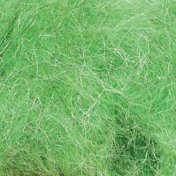 Dubbing li&egrave;vre plus insect green