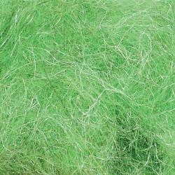 Dubbing li&egrave;vre plus insect green