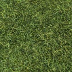 Dubbing &eacute;cureuil golden olive 9