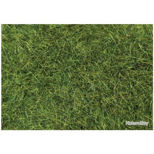 Dubbing �cureuil golden olive 9