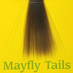 Mayfly tails dark dun