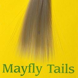 Mayfly tails medium dun