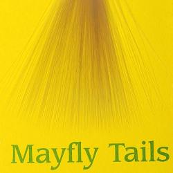 Mayfly tails tan