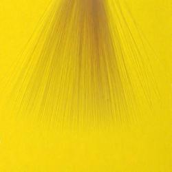 Mayfly tails tan