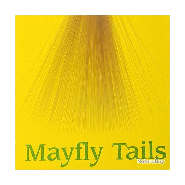 Mayfly tails tan