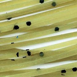 Sililegs olive paillet&eacute; noir