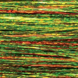 Flashabou holographique Fire tiger