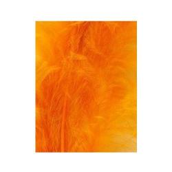 Teinture Veniard ginger (gingembre)