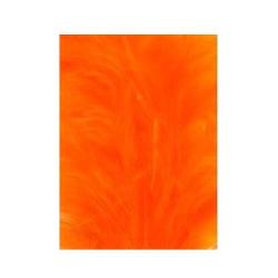 Teinture Veniard hot orange