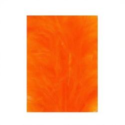 Teinture Veniard hot orange