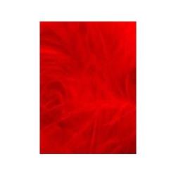 Teinture Veniard scarlet (rouge &eacute;carlate)