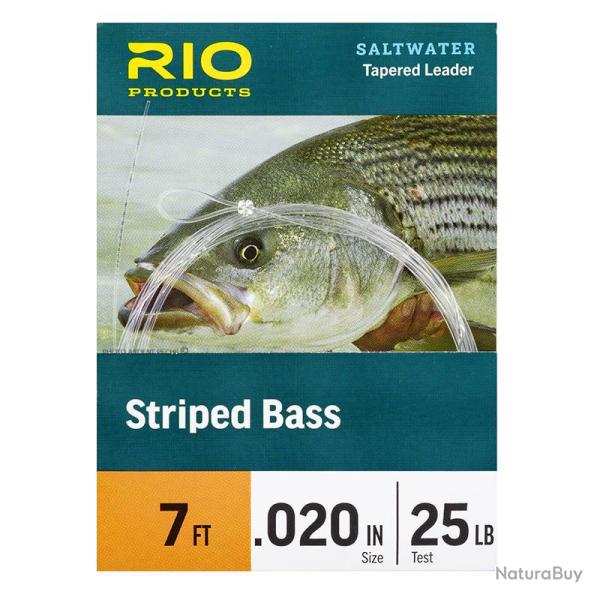 Bas de ligne RIO Striped Bass 7� (2,10m) 10lbs