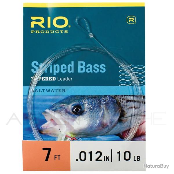 Bas de ligne RIO Striped Bass 7� (2,10m) 25lbs