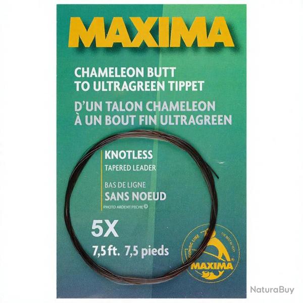 Bas de ligne MAXIMA (2,25m) 3X
