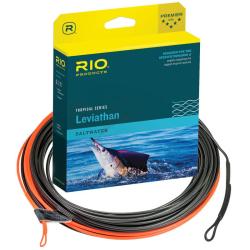 Soie RIO Leviathan Billfish SHD 550 grains (12 - 13)