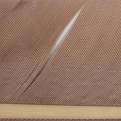 Condor substitut Dark tan