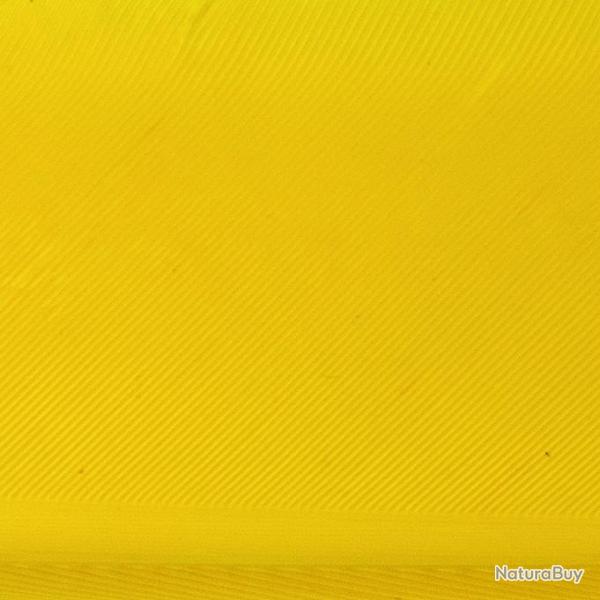 Condor substitut Jaune