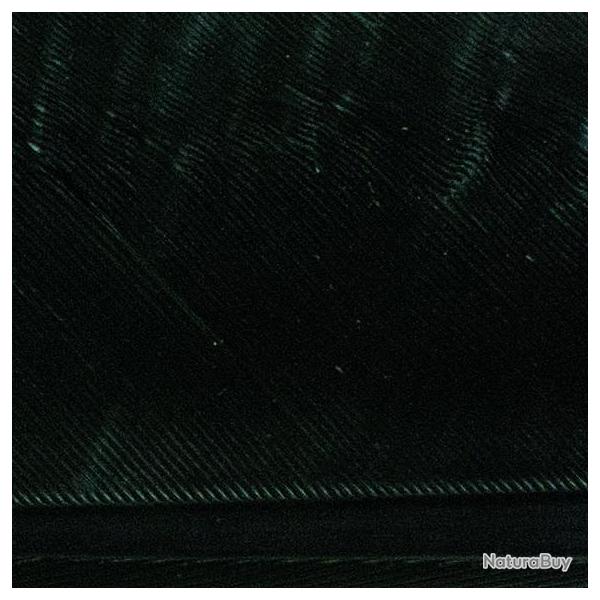 Condor substitut Noir