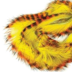 Zonker tiger barred Standard 3mm orange/jaune