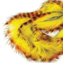 Zonker tiger barred Standard 3mm orange/jaune
