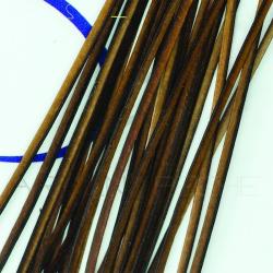 Quill de paon Quill&Fly Brown (marron)