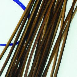 Quill de paon &eacute;barb&eacute;s Brown (marron)