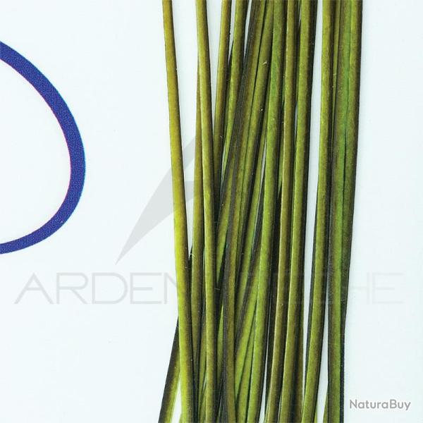 Quill de paon Quill&Fly Green (vert)